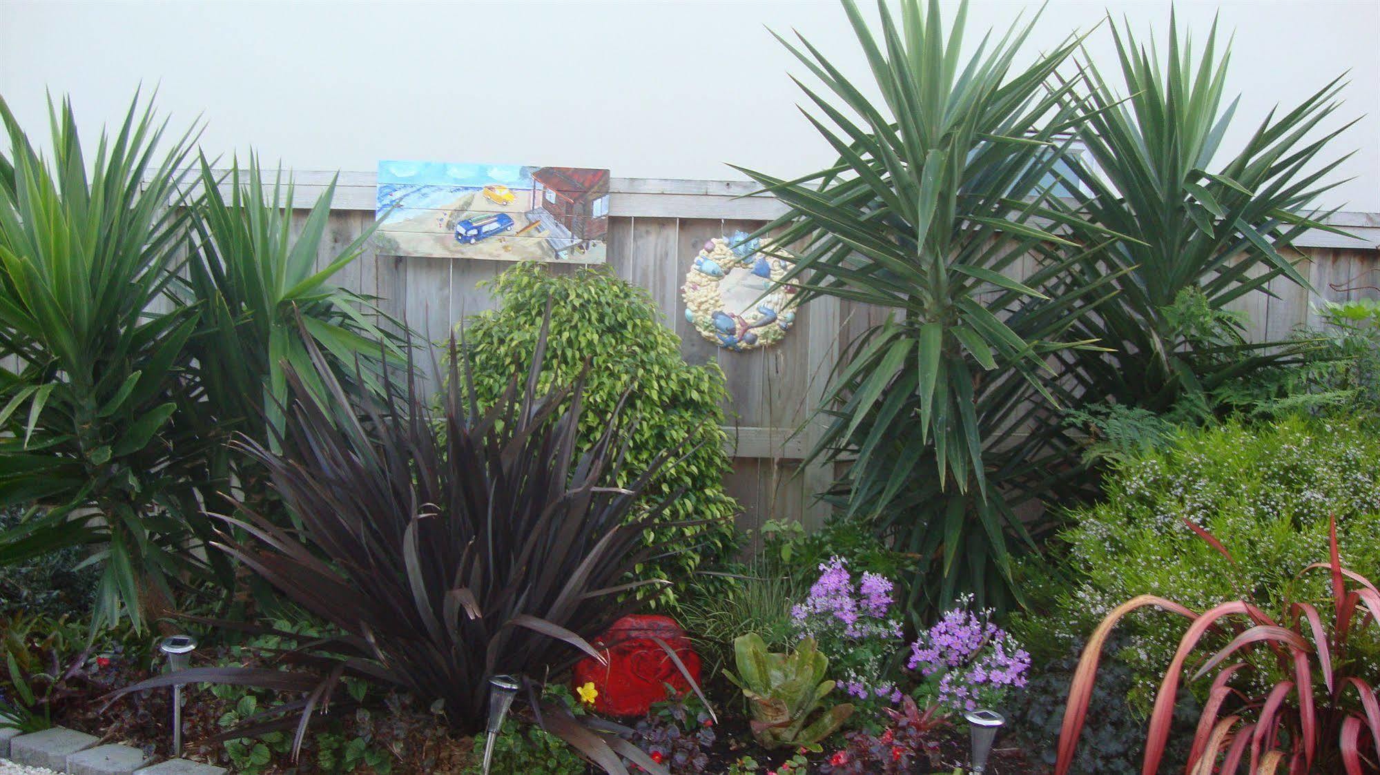 Bed and Breakfast Stunning Views Bed, Breakfast & Health Retreat à Whangamata Extérieur photo